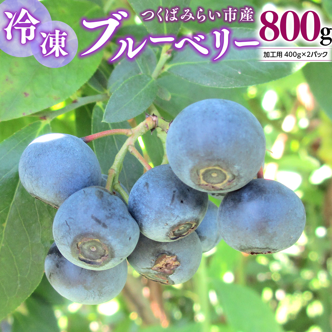 つくばみらい市 産 冷凍 ブルーベリー 800g ( 400g ×2パック ) 国産 農薬無使用 自家農場 果物 就労継続支援 フルーツ おいしい 冷凍ブルーベリー フリーズ [DG02-NT］