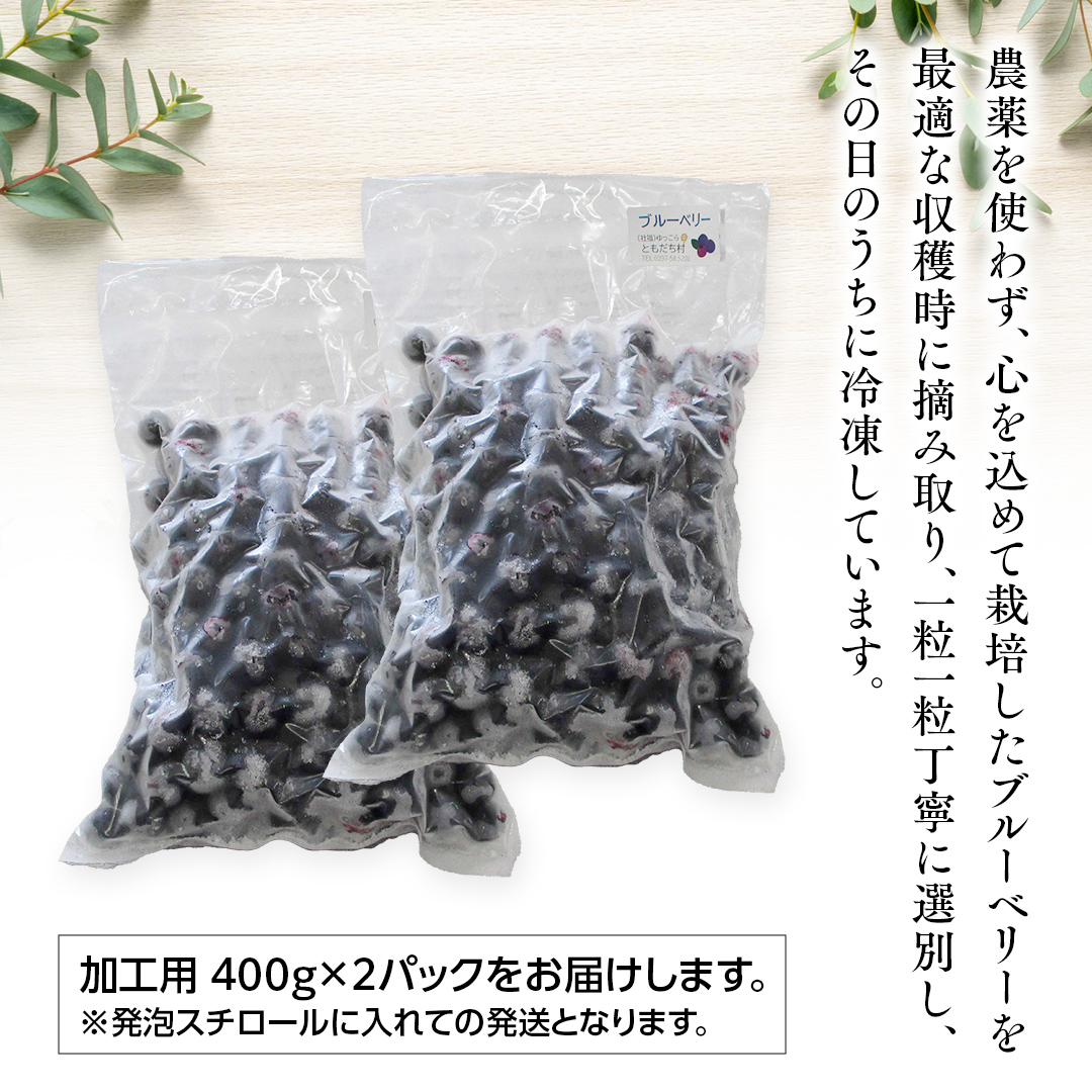 つくばみらい市 産 冷凍 ブルーベリー 800g ( 400g ×2パック ) 国産 農薬無使用 自家農場 果物 就労継続支援 フルーツ おいしい 冷凍ブルーベリー フリーズ [DG02-NT］