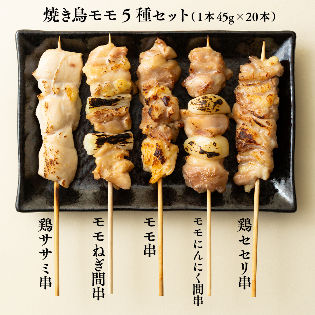 1本45g×100本！合計約4500g！ボリュームたっぷり、国産鶏 焼き鳥 5種100本 セット （各20本入り） 焼鳥 鶏肉 おかず おつまみ [AI12-NT]