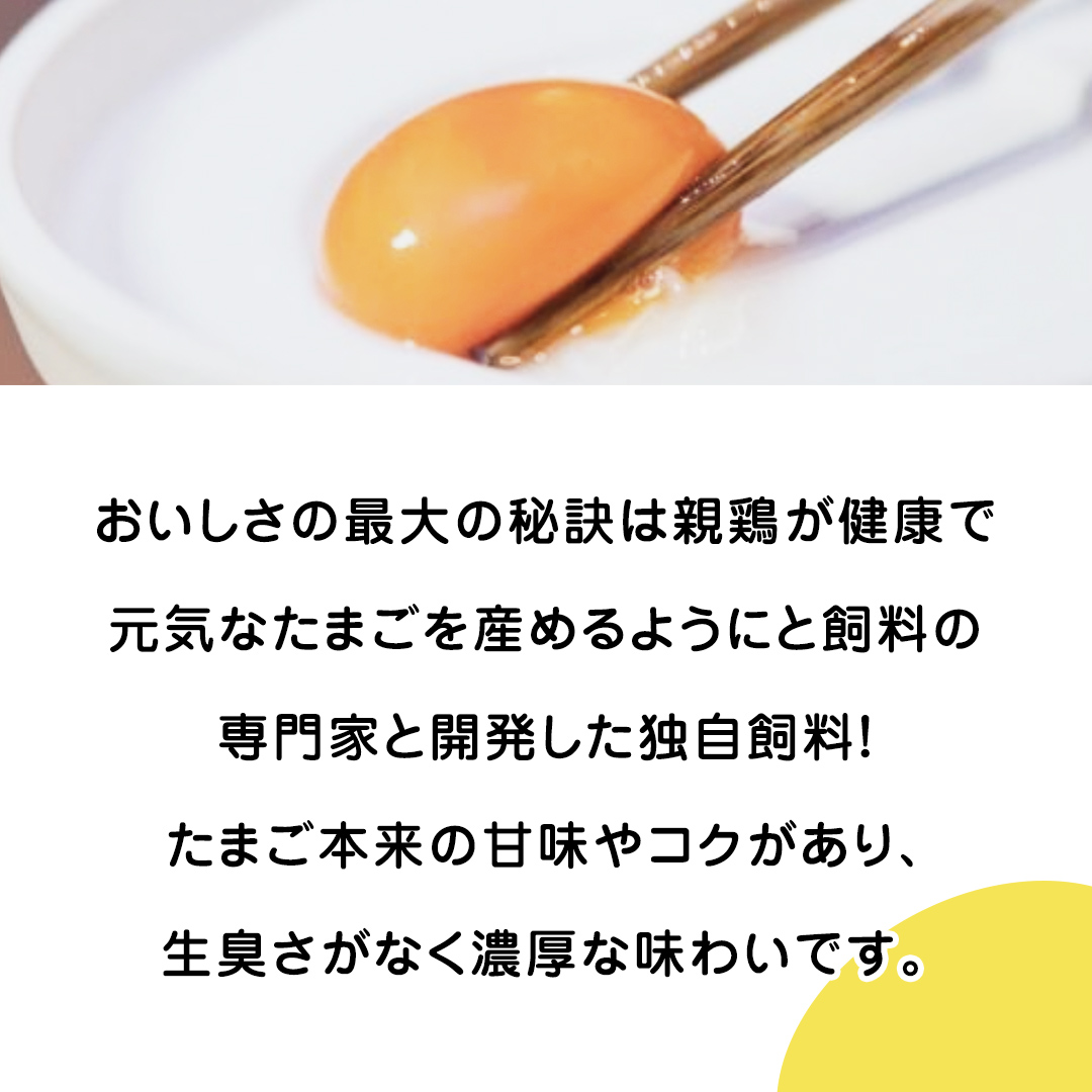 紅プレミアム 卵 30個 （ 25個 入り ＋ 割れ保障 5個 ） 独自飼料 濃厚 おいしい玉子 玉子 たまご サンサンエッグ タンパク質 [CX01-NT]