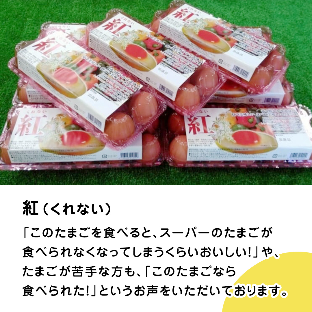 紅プレミアム 卵 と 紅たまご 食べ比べ セット 50個 （ 各 20個 入り ＋ 割れ保障  各 5個 ） 独自飼料 濃厚 おいしい玉子 玉子 たまご サンサンエッグ タンパク質 [CX05-NT]