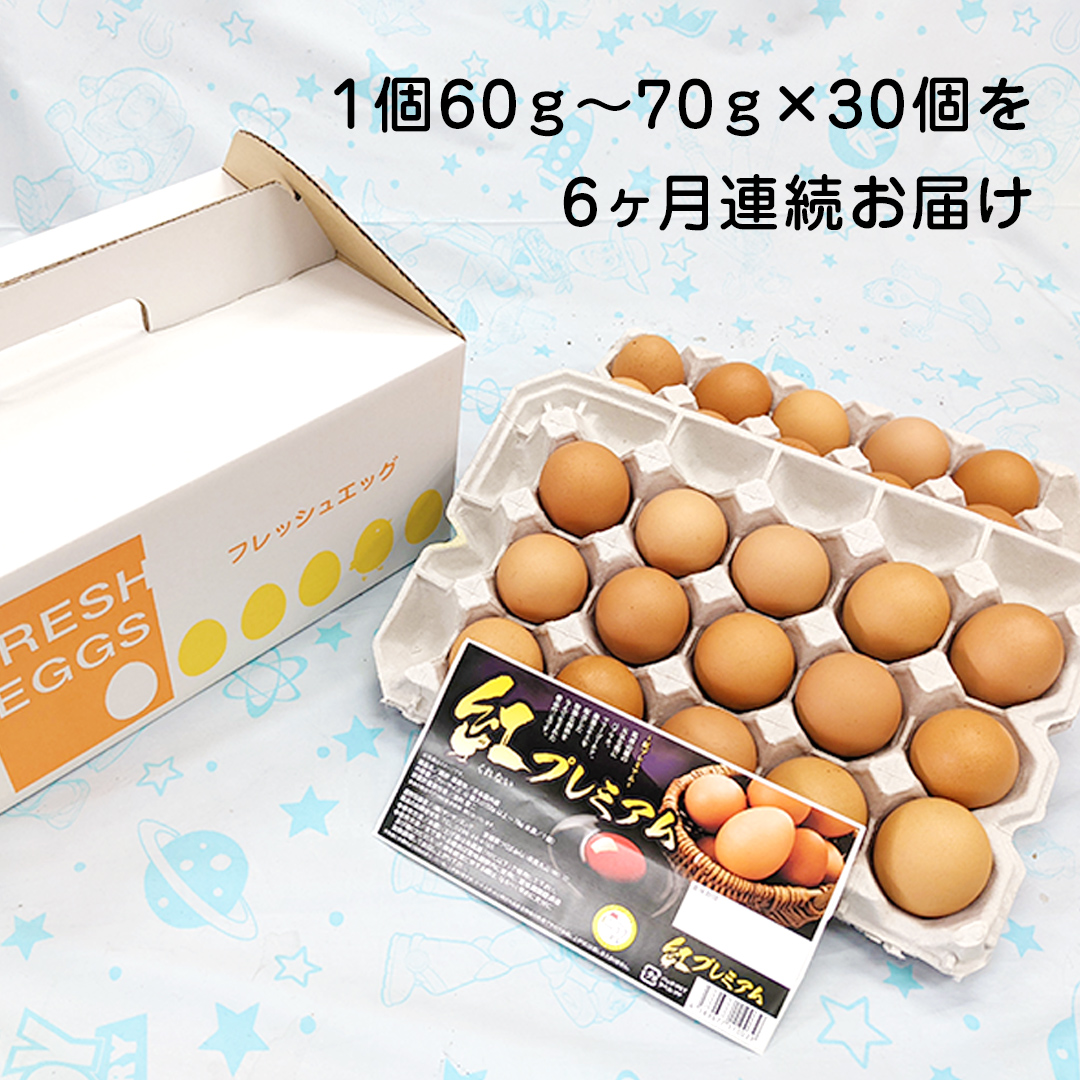 【 定期便 】【 全6回 コース 】紅プレミアム 卵 30個 （ 25個 入り ＋ 割れ保障 5個 ） 独自飼料 濃厚 おいしい玉子 玉子 たまご サンサンエッグ タンパク質 [CX07-NT]