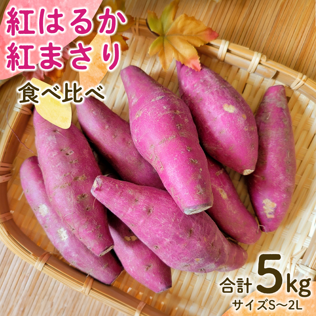 【 先行予約 】 茨城県産 紅はるか／紅まさり 食べ比べ 合計 5kg サイズS～2L さつまいも サツマイモ 紅はるか 紅まさり [EG01-NT]
