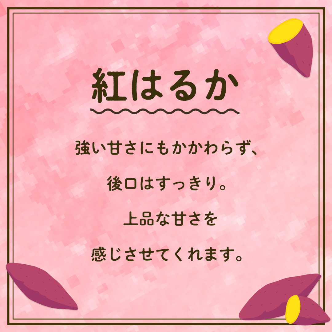 【 先行予約 】 茨城県産 紅はるか 5kg サイズS～2L さつまいも サツマイモ 紅はるか [EG03-NT]