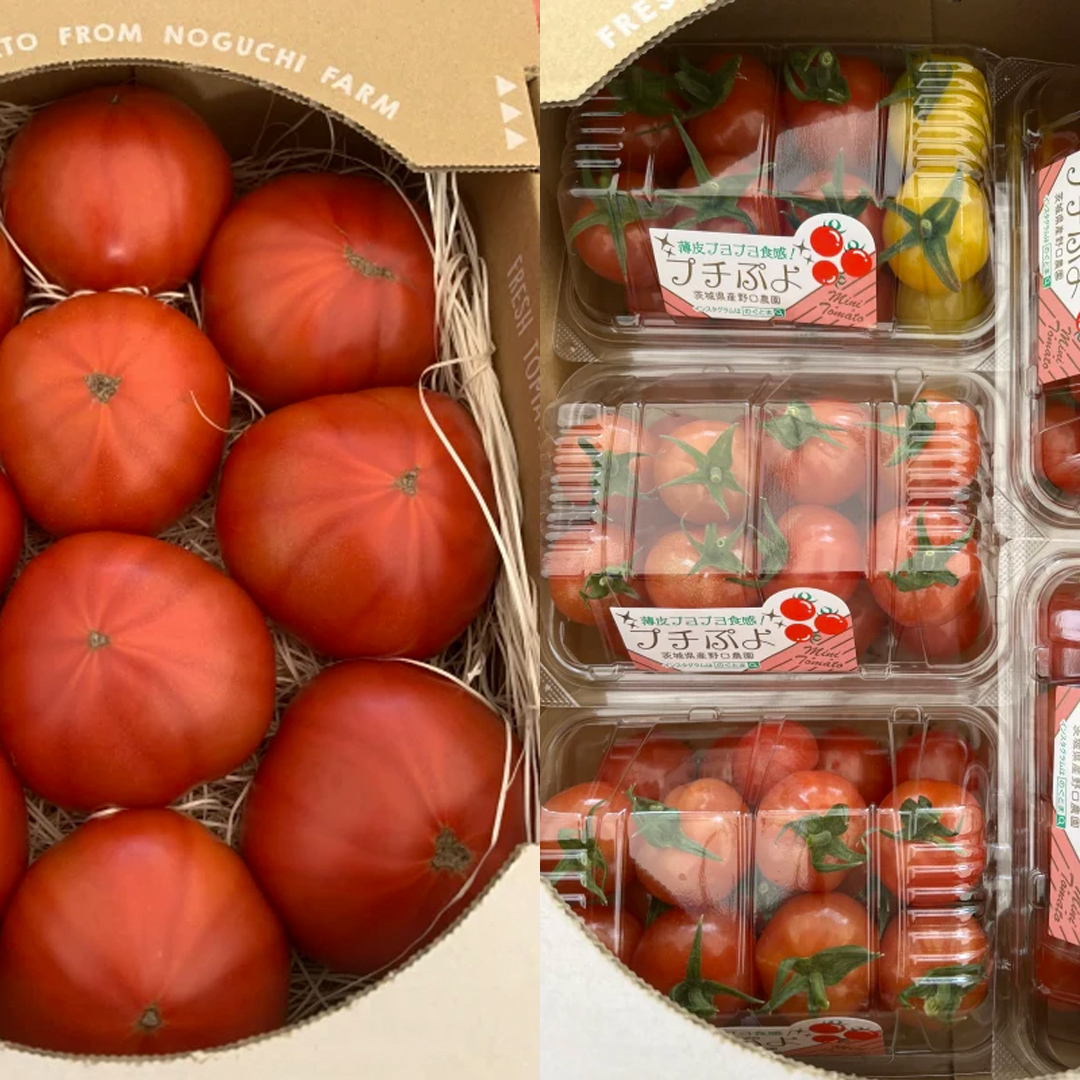 野口農園 ！ ぜいたく トマト ＆ ミニトマト ＆ 中玉 セット （合計 約 3 kg ） トマト ミニトマト プチぷよ フルティカ アイコ 華クイン 新鮮 美味しい 野菜 [J005-NT]