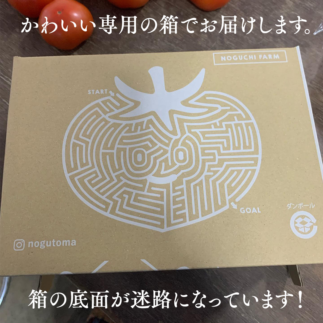 野口農園 ！ ぜいたく トマト ＆ ミニトマト ＆ 中玉 セット （合計 約 3 kg ） トマト ミニトマト プチぷよ フルティカ アイコ 華クイン 新鮮 美味しい 野菜 [J005-NT]