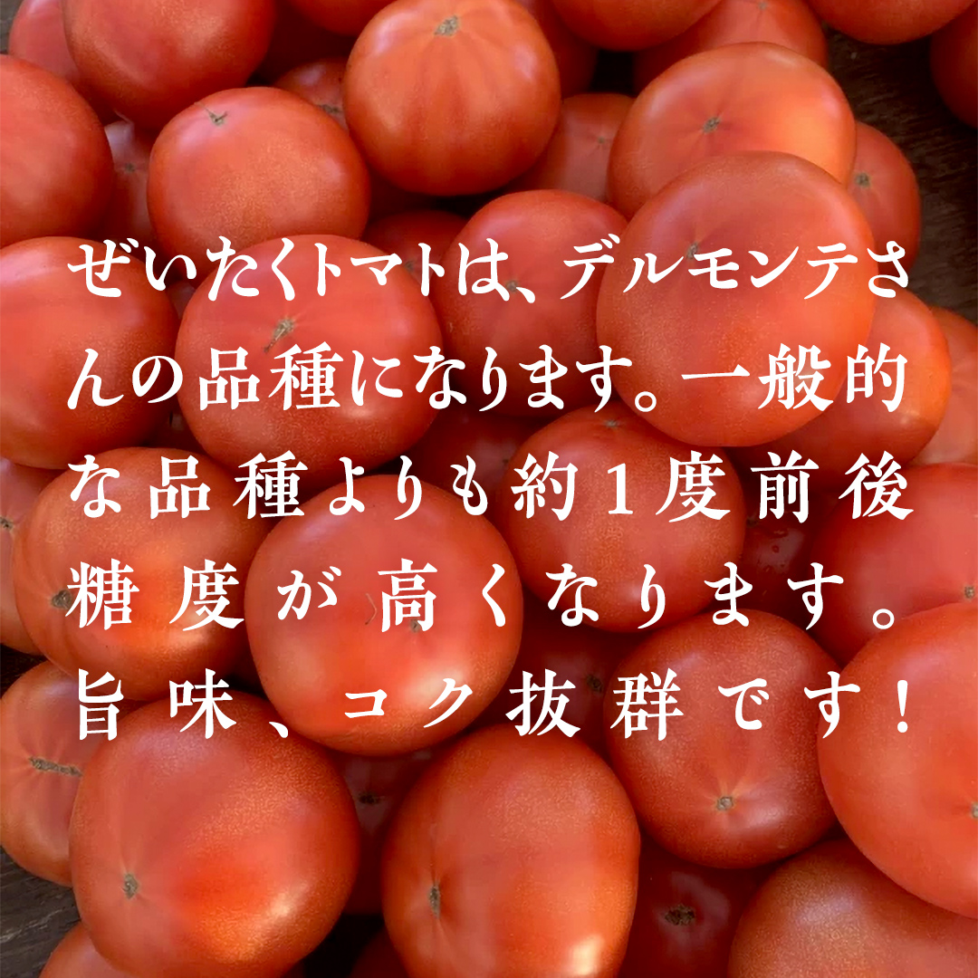 ぜいたくトマト！ 約2kg × 2 合計 約4kg ( 18～24個 ) トマト 大玉トマト 新鮮 美味しい 野菜 [J011-NT]