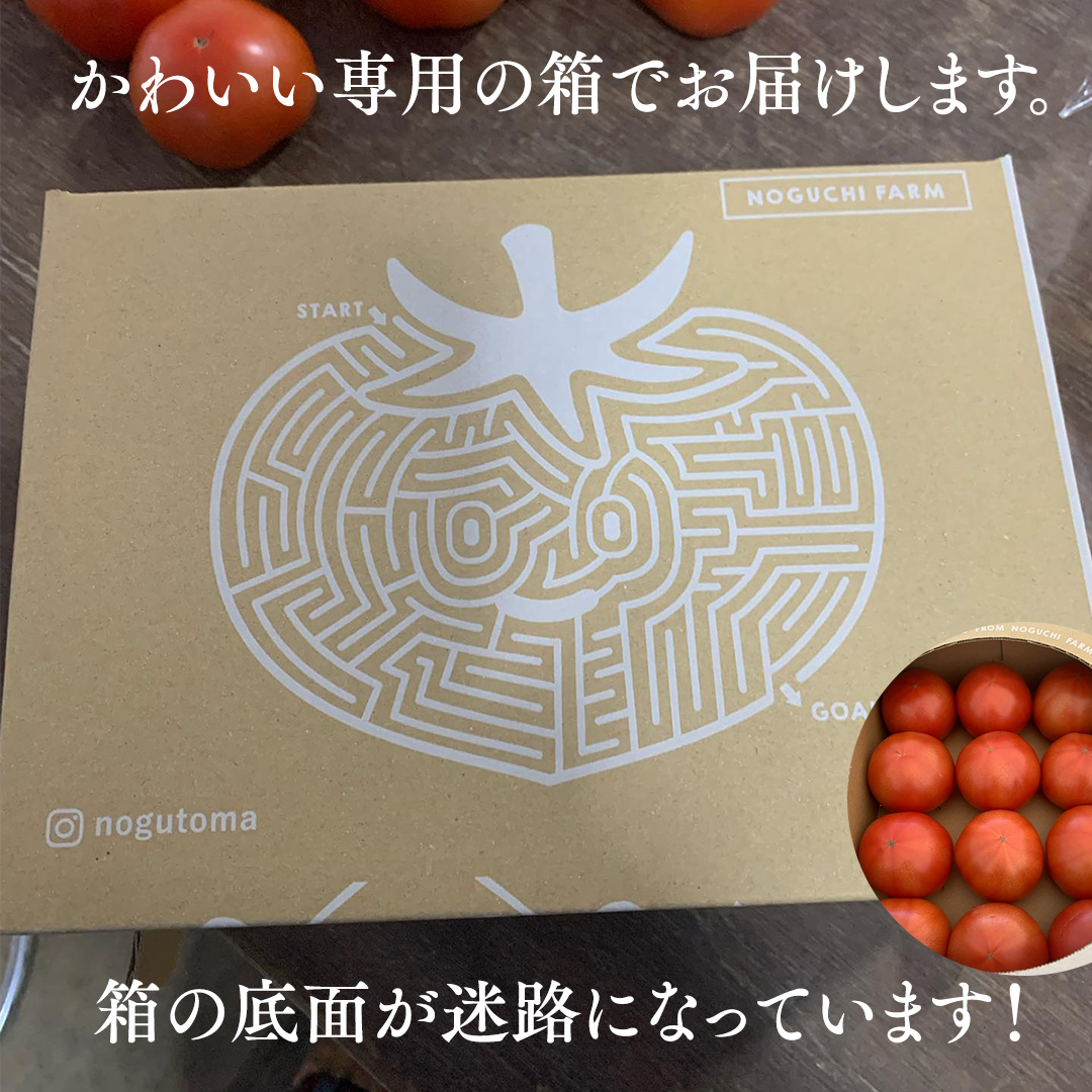 ぜいたくトマト！ 約2kg × 2 合計 約4kg ( 18～24個 ) トマト 大玉トマト 新鮮 美味しい 野菜 [J011-NT]