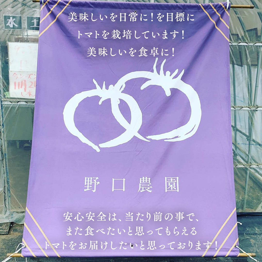 ぜいたくトマト！ 約2kg × 2 合計 約4kg ( 18～24個 ) トマト 大玉トマト 新鮮 美味しい 野菜 [J011-NT]