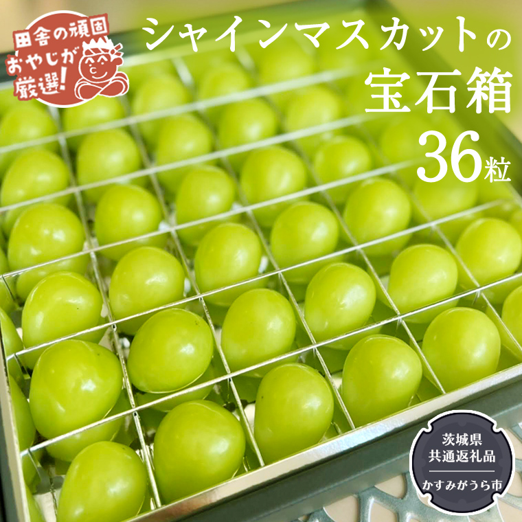 「粒々ぶどう36粒」シャインマスカットの宝石箱【令和6年8月より発送開始】（茨城県共通返礼品：かすみがうら市産） ぶどう ブドウ 葡萄 果物 フルーツ 茨城県産 [BI442-NT]