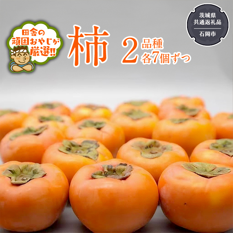 柿 2品種（各7個）【令和6年10月中旬より発送開始】（茨城県共通返礼品：石岡市産） 果物 フルーツ 茨城県産 [BI455-NT]