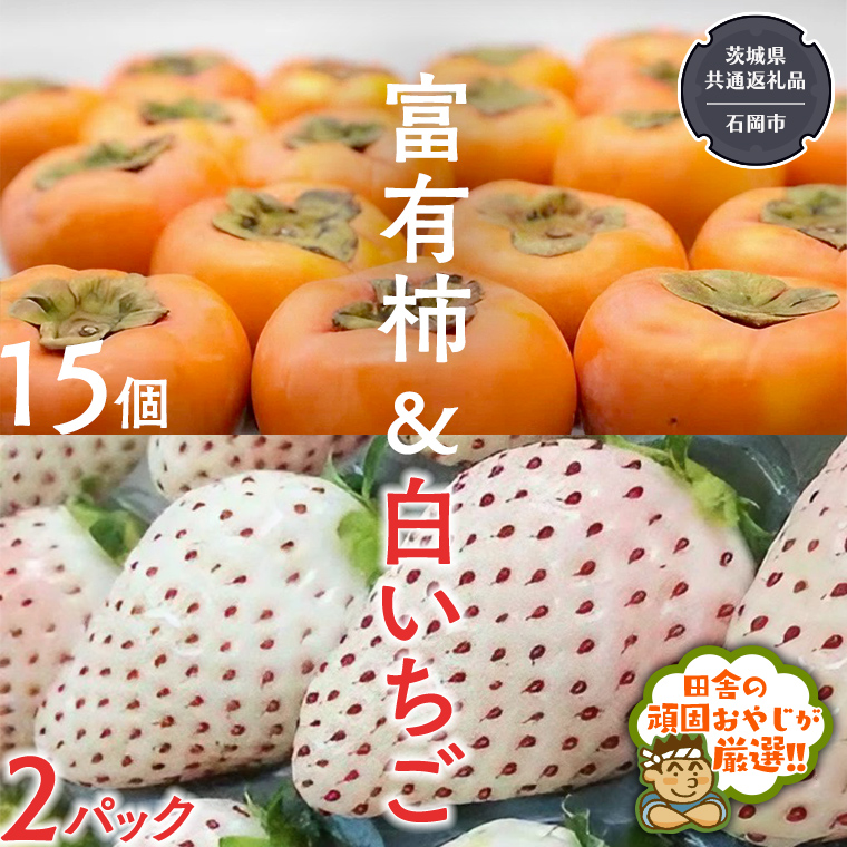 富有柿15個 と 白いちご2パック 【令和6年12月より発送開始】（茨城県共通返礼品：石岡市産） 詰め合わせ 果物 フルーツ 茨城県産 [BI458-NT]