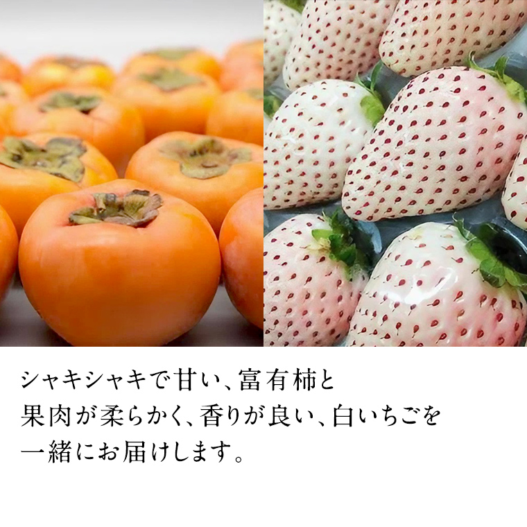 富有柿15個 と 白いちご2パック 【令和6年12月より発送開始】（茨城県共通返礼品：石岡市産） 詰め合わせ 果物 フルーツ 茨城県産 [BI458-NT]