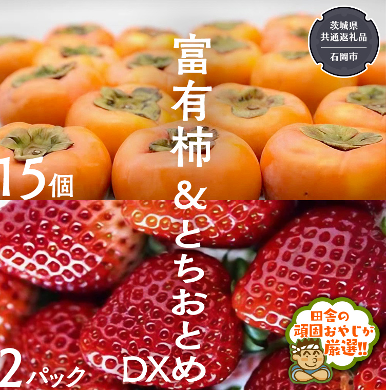 富有柿15個 と とちおとめDX2pk 【令和6年11月より発送開始】（茨城県共通返礼品：石岡市産） 詰め合わせ 果物 フルーツ 茨城県産 [BI459-NT]