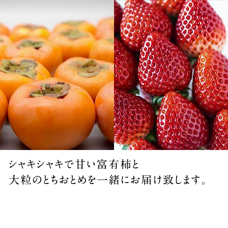 富有柿15個 と とちおとめDX2pk 【令和6年11月より発送開始】（茨城県共通返礼品：石岡市産） 詰め合わせ 果物 フルーツ 茨城県産 [BI459-NT]