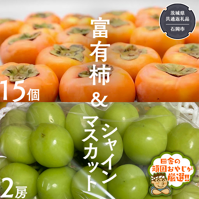 富有柿15個 と シャインマスカット2房【令和6年11月より発送開始】（茨城県共通返礼品：石岡市産） 詰め合わせ 果物 フルーツ 茨城県産 [BI461-NT]