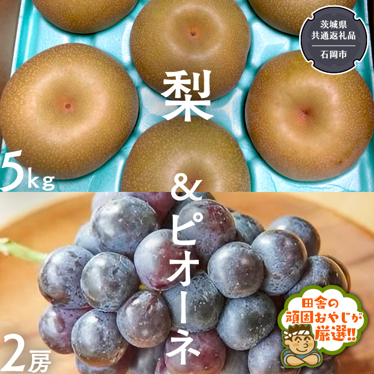 梨5kg と ピオーネ2房【令和6年8月より発送開始】（茨城県共通返礼品：石岡市産） 詰め合わせ 果物 フルーツ 茨城県産 [BI463-NT]