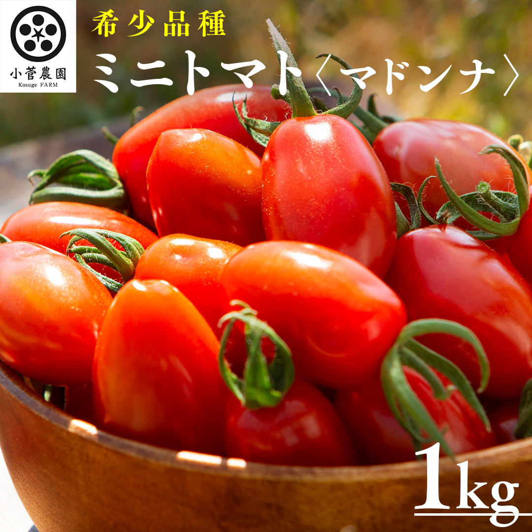 ミニトマト（マドンナ）約1kg 【1月下旬発送開始】 ミニトマト マドンナ とまと リコピン トマト 野菜 [AY08-NT]