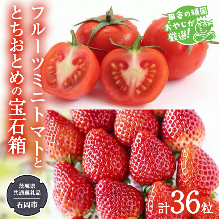 とちおとめ と フルーツミニトマト宝石箱 36粒【令和7年1月より発送開始】（茨城県共通返礼品：石岡市産） 詰め合わせ 果物 フルーツ 茨城県産 [BI467-NT]