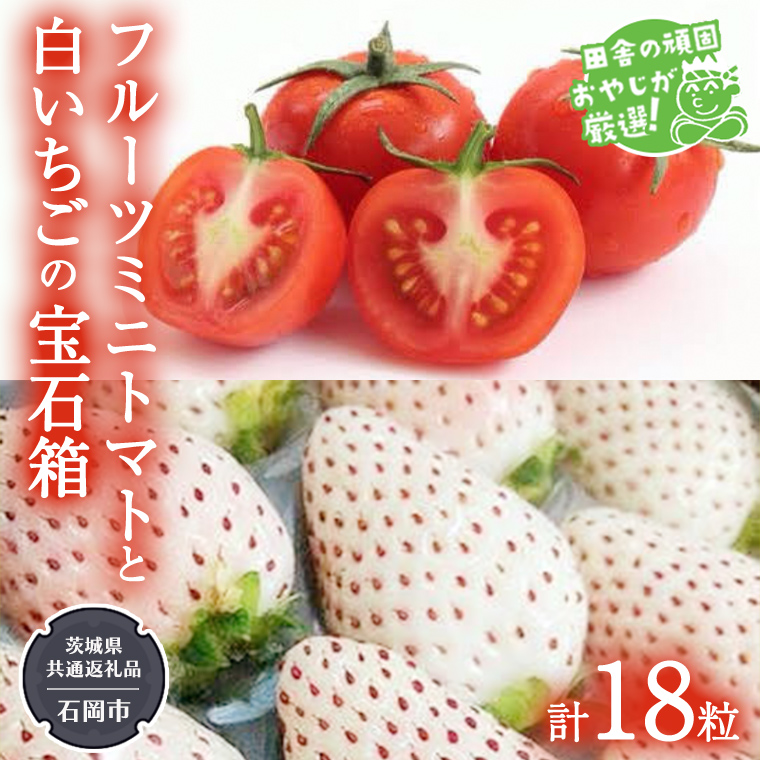 白いちご と フルーツミニトマトの 宝石箱 18粒 【令和7年1月から発送開始】（県内共通返礼品：石岡市産） 詰め合わせ 果物 フルーツ 茨城県産 [BI470-NT]