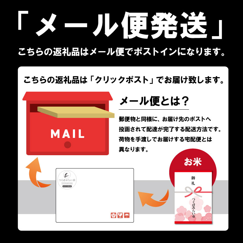 【 お試しサイズ 】 茨城県産 コシヒカリ 300g (300g×1袋) お試し ♪ 2合 五つ星お米マイスター監修 寄附額 1000円 ポッキリ 米 精米 茨城 お米 おこめ ごはん 白米 米 茨城産  こしひかり[DW01-NT]