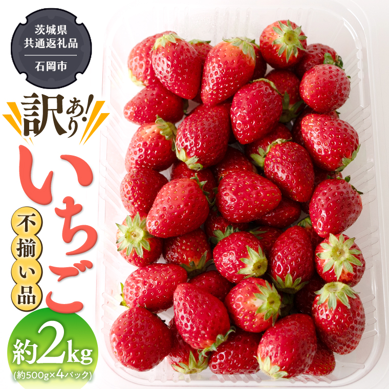 （訳あり）いちご 2kg（500g×4パック）【2024年12月から発送開始】（県内共通返礼品：石岡市産） 果物 フルーツ 苺 イチゴ 不揃い わけあり 先行予約 家庭用 アレンジ お菓子作り スイーツ [BI369-NT]