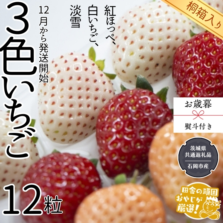 【 お歳暮 熨斗付 】【 桐箱入り 】大粒３色いちご 12粒【令和6年12月から発送開始】（県内共通返礼品：石岡市産） いちご イチゴ 苺 白イチゴ 白いちご [BI382-NT]