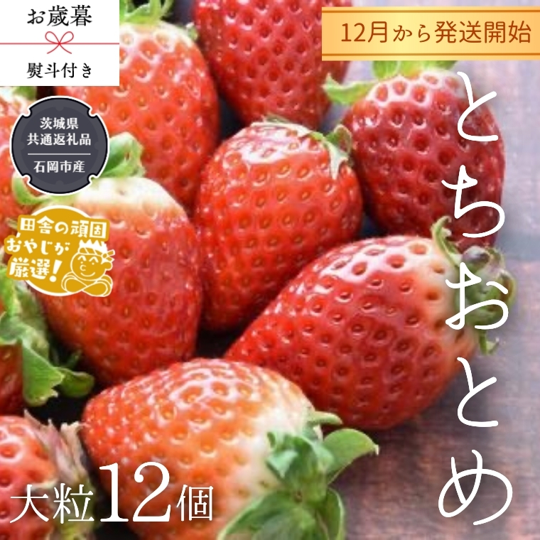 【 お歳暮 熨斗付 】【 桐箱入り 】大粒とちおとめ 12粒 【令和6年12月から発送開始】（県内共通返礼品：石岡市産） いちご イチゴ 苺 とちおとめ [BI380-NT]