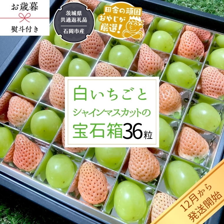 【 お歳暮 熨斗付 】シャインマスカットと白いちごの宝石箱 36粒【令和6年12月から発送開始】（県内共通返礼品：石岡市産） いちご 苺 イチゴ 白いちご 白イチゴ シャインマスカット マスカット 宝石箱 [BI379-NT]