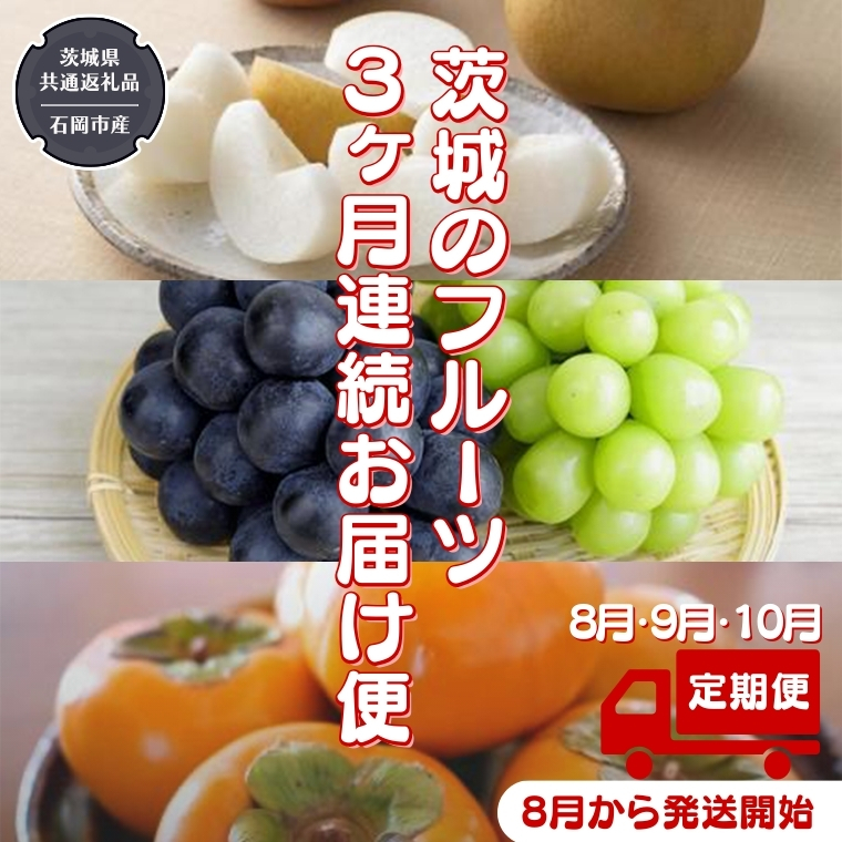 【 定期便 】 茨城のフルーツ 3ヶ月連続お届け便 【2025年8月から発送開始】（県内共通返礼品：石岡市産） フルーツ 果物 定期便 秋 季節 梨 ブドウ ぶどう 柿 茨城 [BI348-NT]