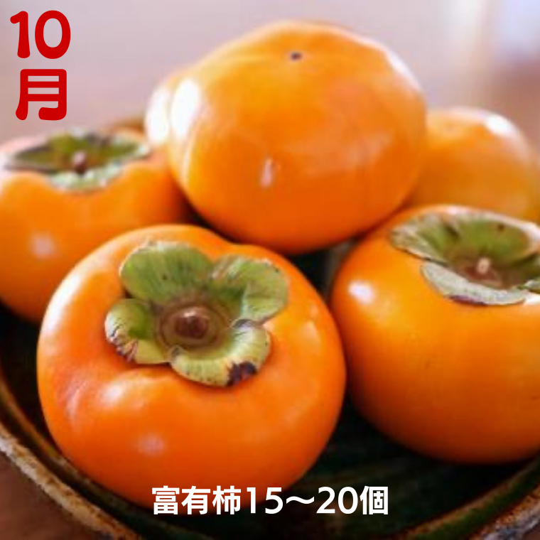 【 定期便 】 茨城のフルーツ 3ヶ月連続お届け便 【2025年8月から発送開始】（県内共通返礼品：石岡市産） フルーツ 果物 定期便 秋 季節 梨 ブドウ ぶどう 柿 茨城 [BI348-NT]