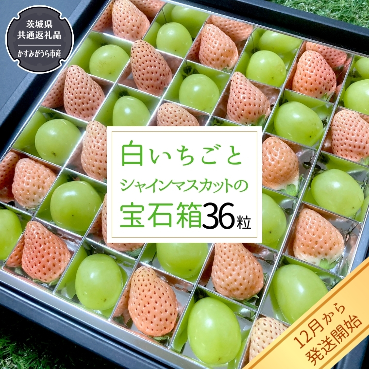 白いちご と シャインマスカット の 宝石箱 36粒 【令和6年12月から発送開始】（県内共通返礼品：かすみがうら市産） 果物 フルーツ いちご イチゴ 白苺 ぶどう マスカット ギフト プレゼント [BI343-NT]