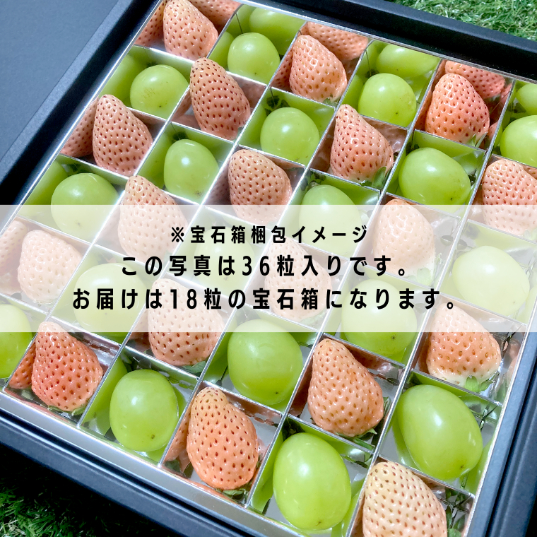 【 お歳暮 熨斗付 】 シャインマスカットと白いちごの 宝石箱 18粒【令和6年12月から発送開始】（県内共通返礼品：石岡市産） いちご 苺 イチゴ 白いちご 白イチゴ シャインマスカット マスカット 宝石箱 [BI376-NT]