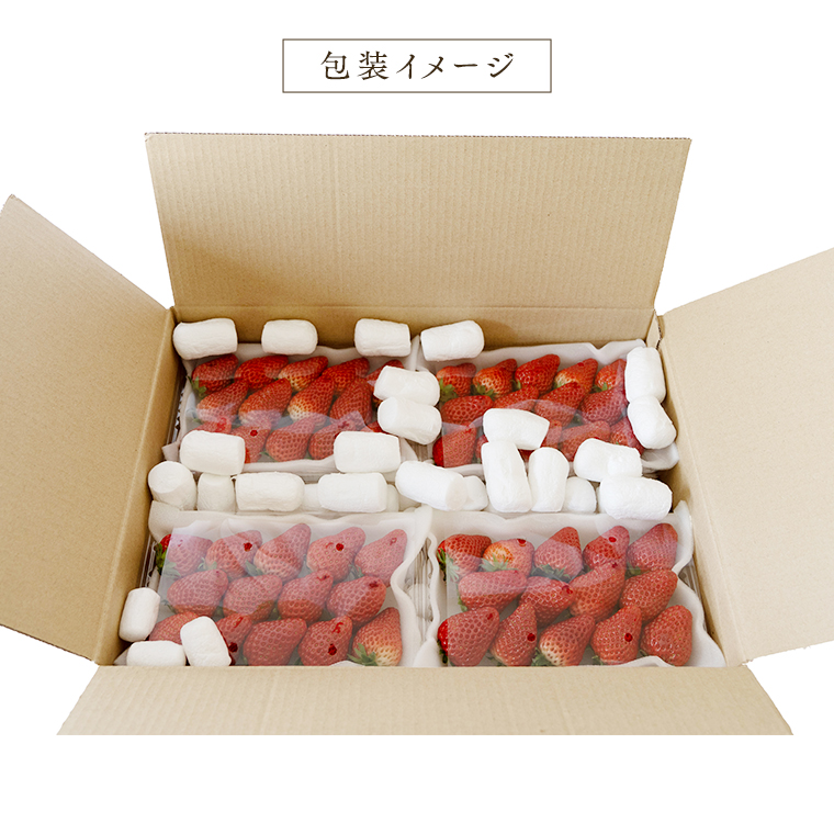 【 定期便 】 合計3kgお届け いちご の3ヶ月連続お届け便 （1回：250g×4パック）×3回 【令和7年1月から発送開始】（県内共通返礼品：石岡市産） 果物 フルーツ イチゴ 苺 白いちご 白苺 とちおとめ 白いちご 紅ほっぺ やよいひめ 定期便 [BI346-NT]