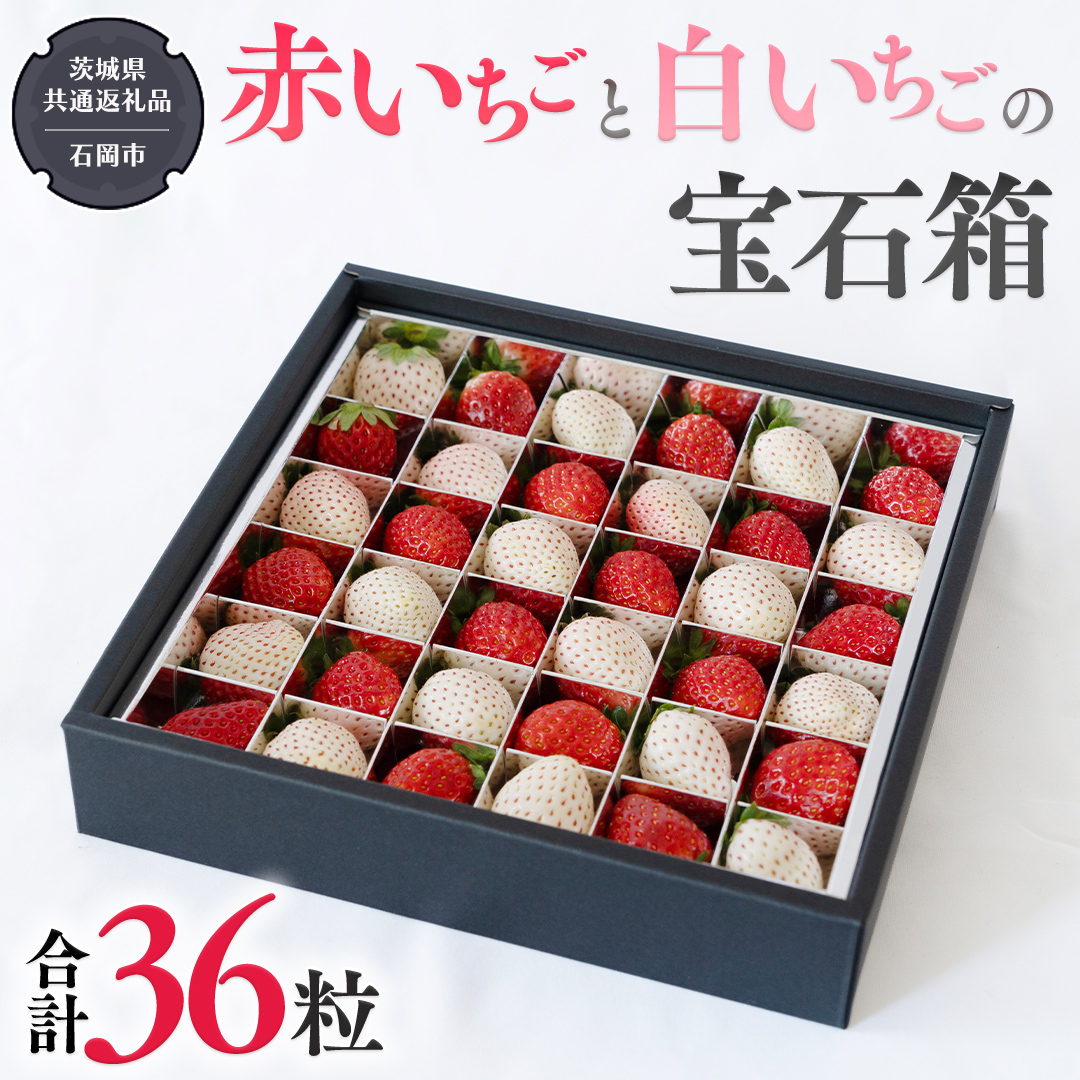 赤いちご と 白いちごの宝石箱 36粒 【令和6年12月から発送開始】（県内共通返礼品：石岡市産） いちご 苺 イチゴ 白いちご 白イチゴ 宝石箱 [BI420-NT]