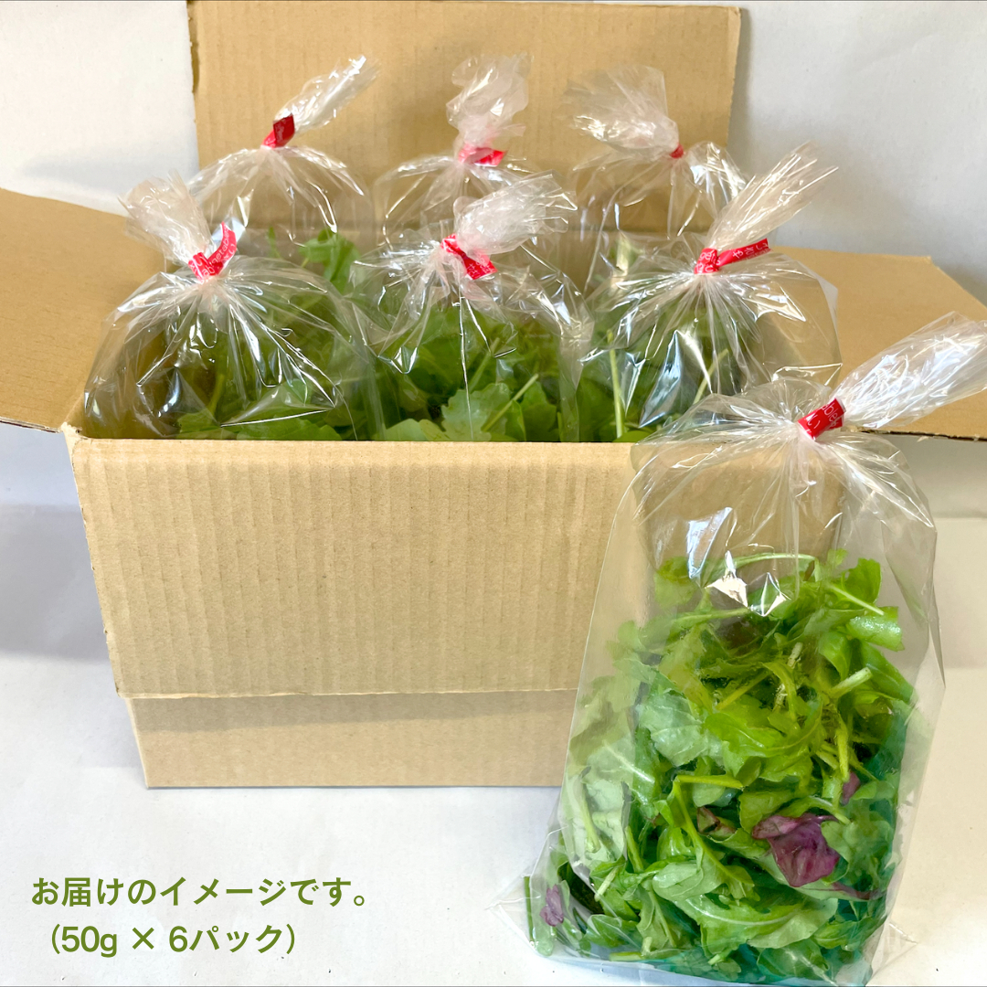 黒澤農園 の ベビーリーフサラダ （ 50g × 6パック ） 使い切りサイズ ベビーリーフ サラダ 生野菜 食べやすい 若葉 使い切り 旬 新鮮 国産 彩り 大容量 [DS01-NT]