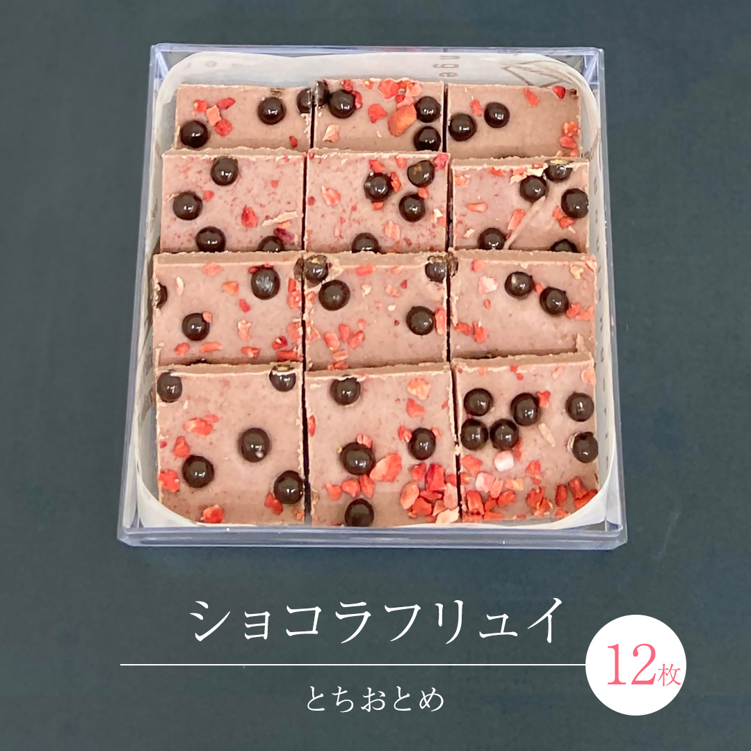 ショコラフリュイ とちおとめ 12枚 チョコレート チョコ スイーツ デザート 高級 ギフト 贈り物 お礼 プレゼント 手土産 お菓子 [DJ49-NT]