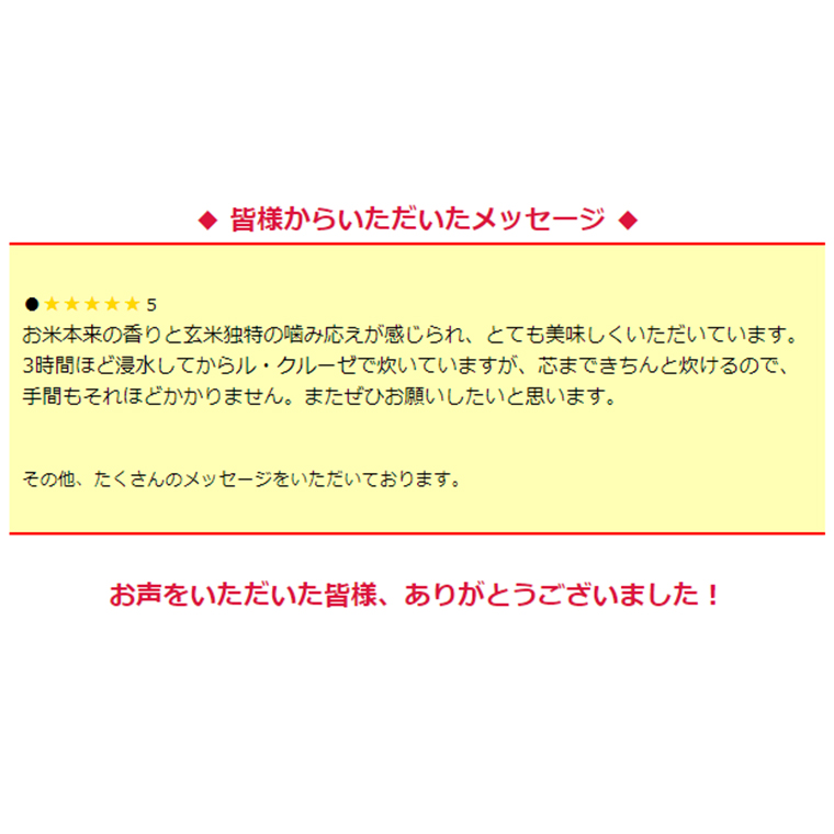 【 先行予約 】＜ 新米 ・ 令和6年産 ＞ 三百年続く農家の有機特別栽培 コシヒカリ ( 玄米 10kg) 有機栽培 農創 米 こめ コメ ごはん ご飯 玄米 国産 茨城県産 おいしい 新生活 プレゼント 新生活応援 必要なもの 便利 おすすめ 消耗品 一人暮らし 二人暮らし 必要 [AC36-NT]