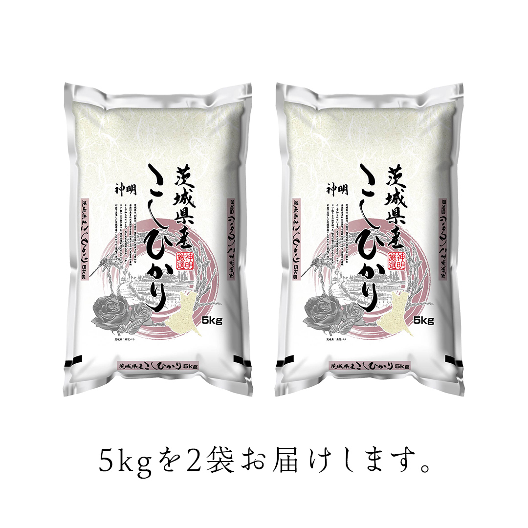 【新米】令和6年産 茨城 こしひかり 10kg（5kg×2本） 精米 茨城県 国産 お米 米 コメ 白米 ライス ご飯 おいしい ごはん [DA01-NT]