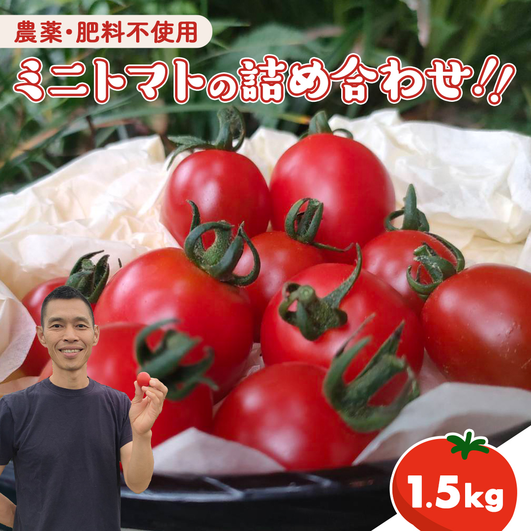今夏お届け！ 農薬 ・ 肥料 不使用 ミニトマト の 詰め合わせ 1.5kg オーガニック ミニ トマト 有機栽培 健康 自然 肥料不使用 炭素循環農法