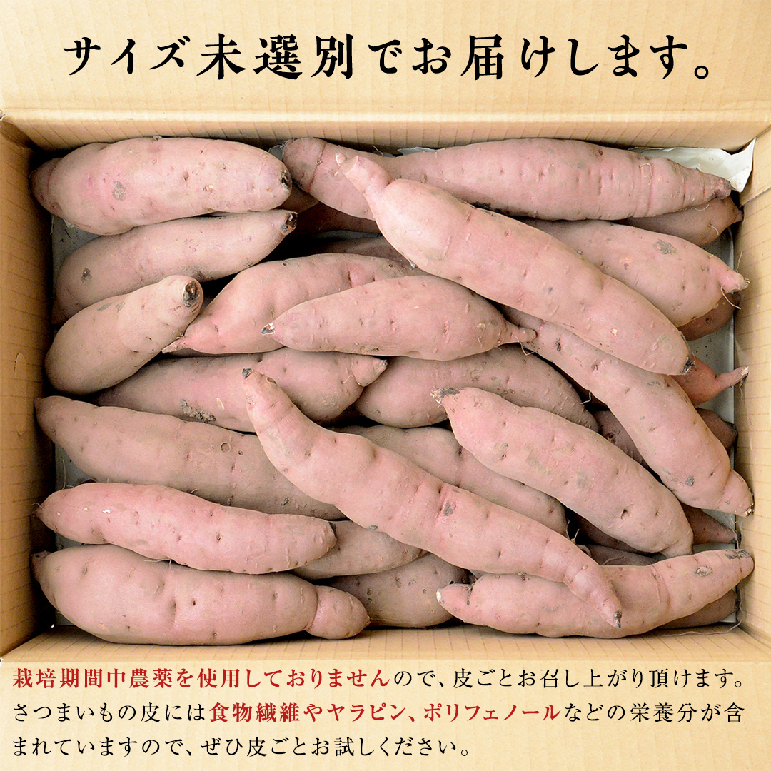 つくばみらい市産 さつまいも 紅はるか 土付き5kg サイズ未選別 サツマイモ つくばみらい いも 照沼 食物繊維 しっとり 甘い 人気 焼き芋 大学芋 天ぷら 味噌汁 お菓子 送料無料 茨城県産 有機栽培 無農薬 さつま芋 薩摩芋 有機JAS 工場直送 [DY01-NT]