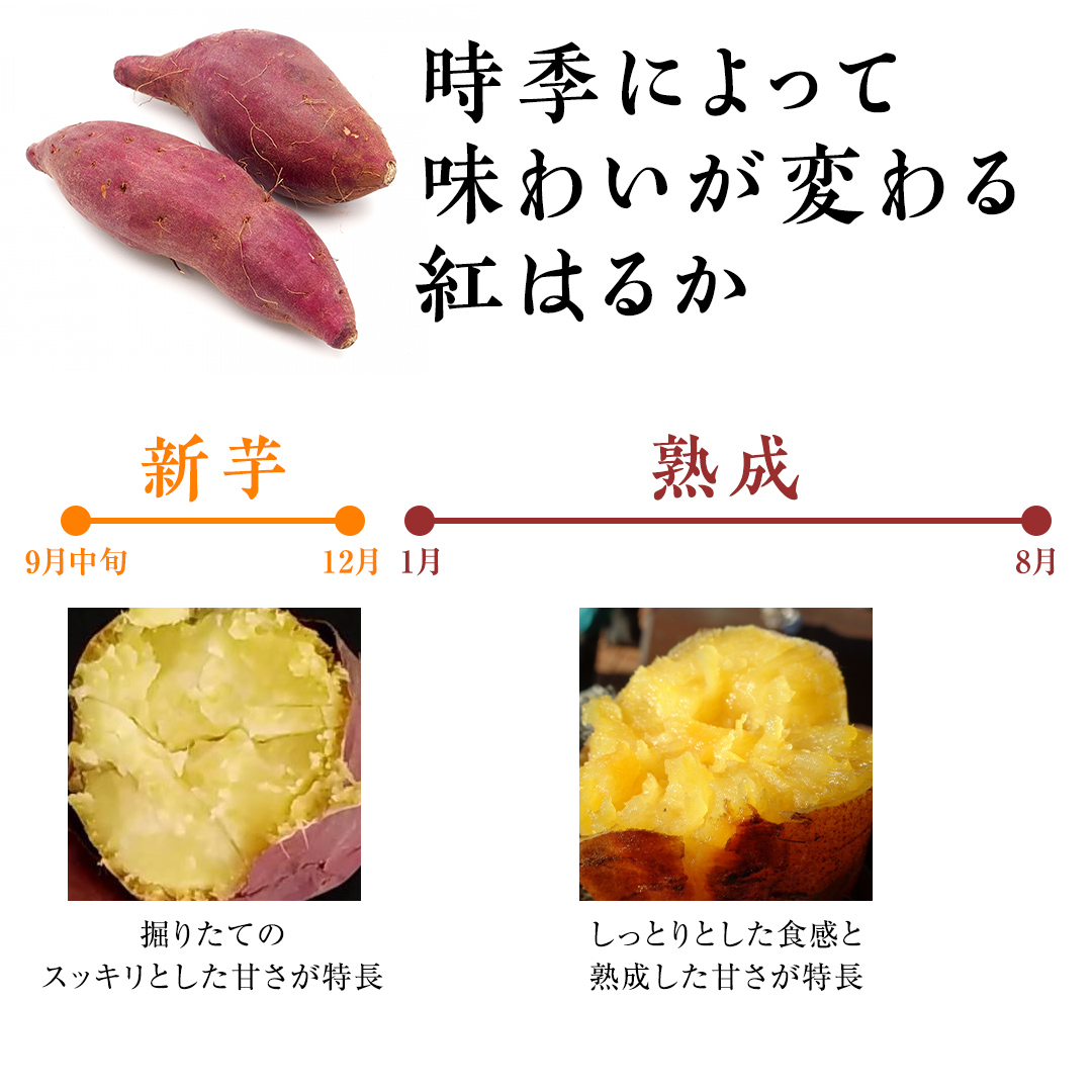 つくばみらい市産 さつまいも 紅はるか 土付き5kg サイズ未選別 サツマイモ つくばみらい いも 照沼 食物繊維 しっとり 甘い 人気 焼き芋 大学芋 天ぷら 味噌汁 お菓子 送料無料 茨城県産 有機栽培 無農薬 さつま芋 薩摩芋 有機JAS 工場直送 [DY01-NT]