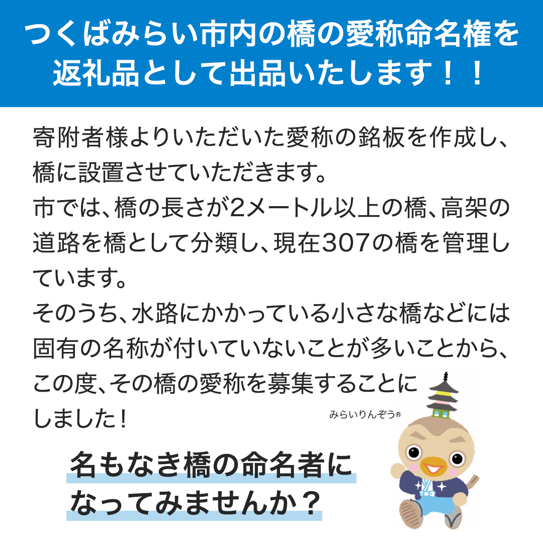 つくばみらい市 橋の愛称 命名権 （橋長5m～10m） 命名 橋 名づけ 権利 広告 ネーミングライツ [EO01-NT]