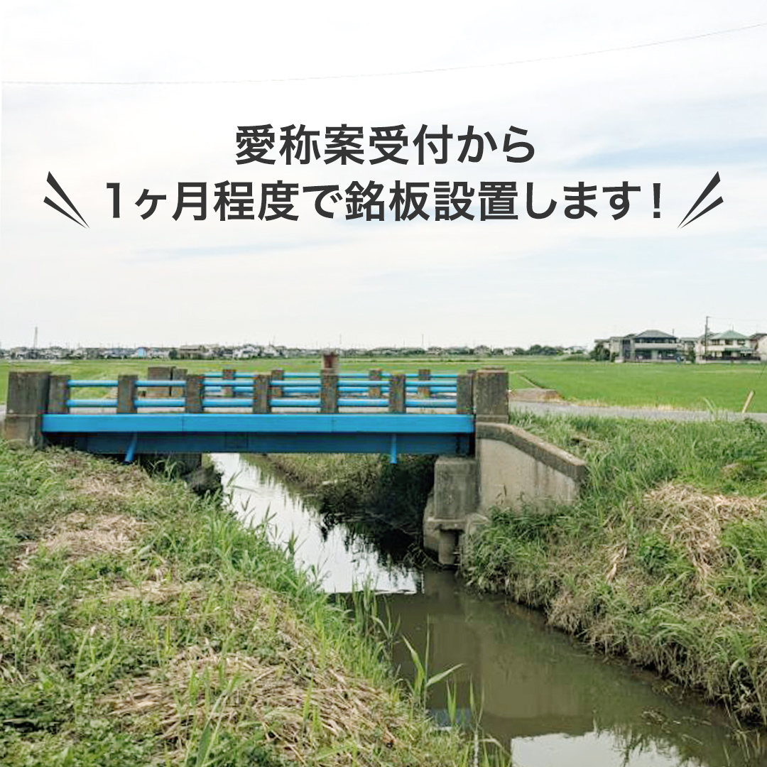 つくばみらい市 橋の愛称 命名権 （橋長5m～10m） 命名 橋 名づけ 権利 広告 ネーミングライツ [EO01-NT]