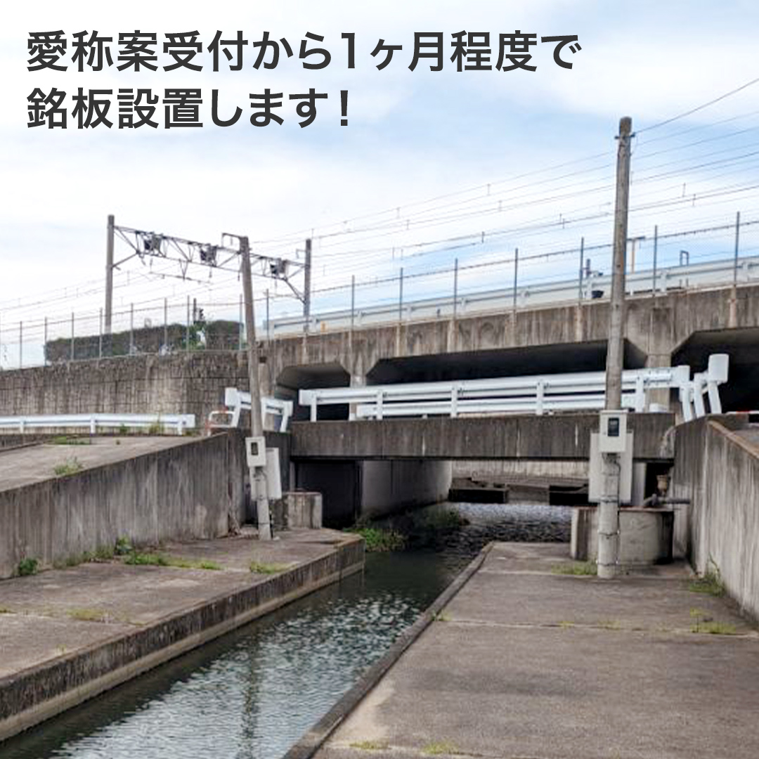 つくばみらい市 橋の愛称 命名権 （橋長10m～30m） 命名 橋 名づけ 権利 広告 ネーミングライツ [EO02-NT]