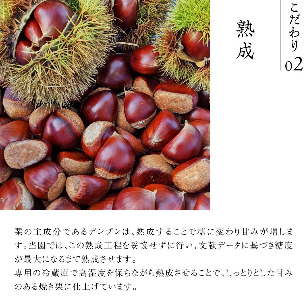 庄七農園 厳選『 最高等級 』氷蔵熟成 焼き和栗 500g 10月下旬発送開始 茨城 お取り寄せ 茨城県産 栗 くり 焼栗 おやつ スイーツ 茨城 和栗 美味しい 果物 フルーツ 庄七農園 [BK15-NT]