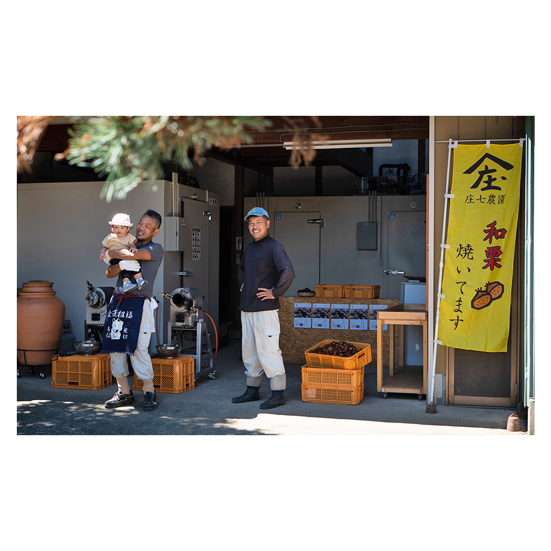 庄七農園 厳選『 最高等級 』氷蔵熟成 焼き和栗 500g 10月下旬発送開始 茨城 お取り寄せ 茨城県産 栗 くり 焼栗 おやつ スイーツ 茨城 和栗 美味しい 果物 フルーツ 庄七農園 [BK15-NT]