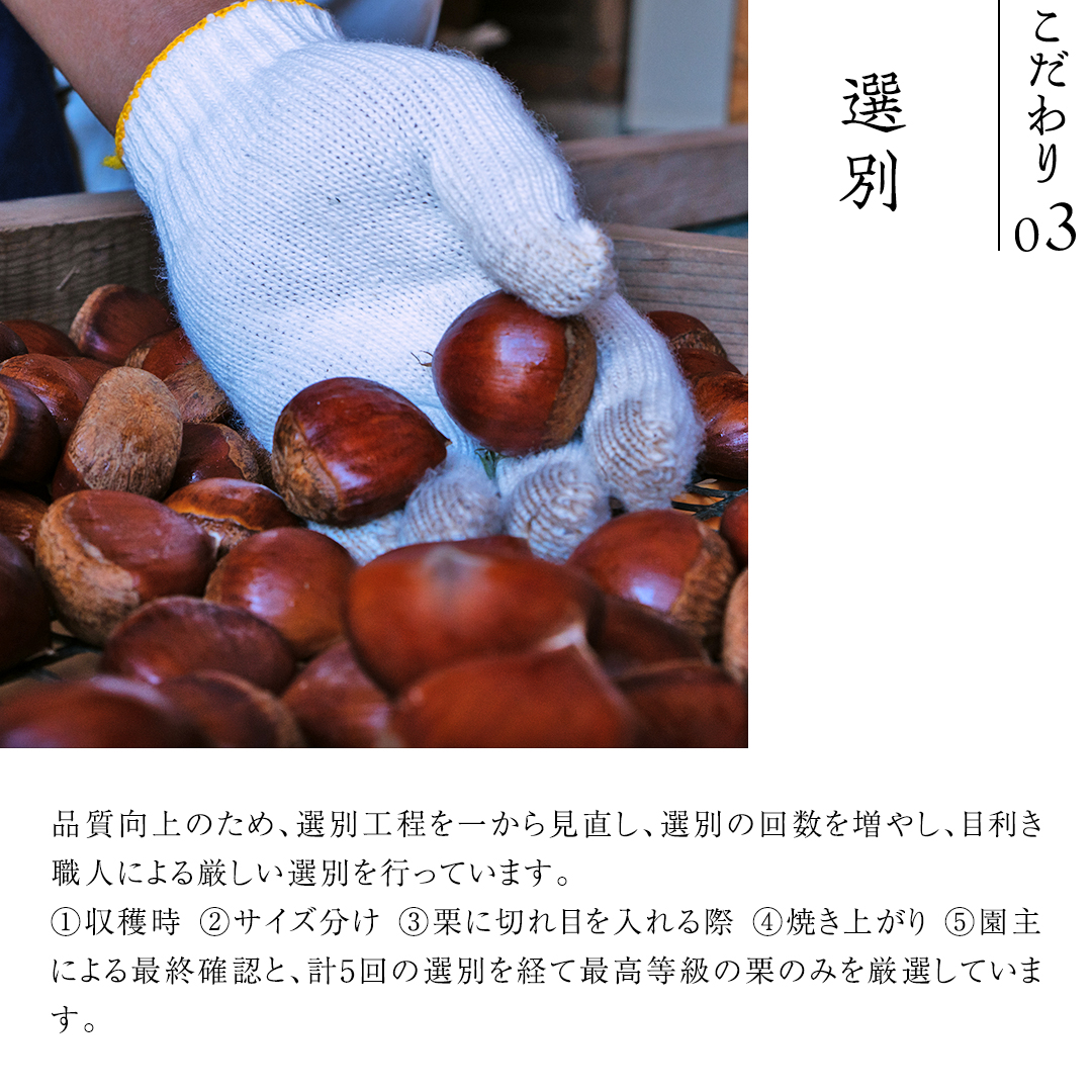 庄七農園 厳選『 最高等級 』氷蔵熟成 焼き和栗 1kg 10月下旬発送開始 茨城 お取り寄せ 茨城県産 栗 くり 焼栗 おやつ スイーツ 茨城 和栗 美味しい 果物 フルーツ 庄七農園 [BK16-NT]