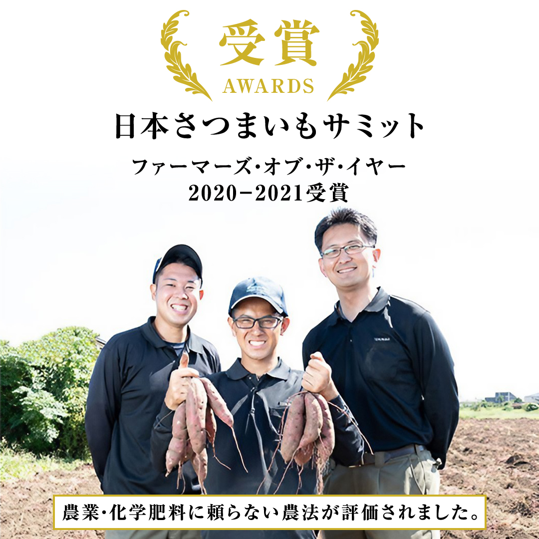 冷凍 焼き芋 1kg(500g×2袋) ギフト BOX 入 つくばみらい さつまいも 紅はるか いも 照沼 食物繊維 農薬不使用 化学肥料不使用 不使用 [DY07-NT]