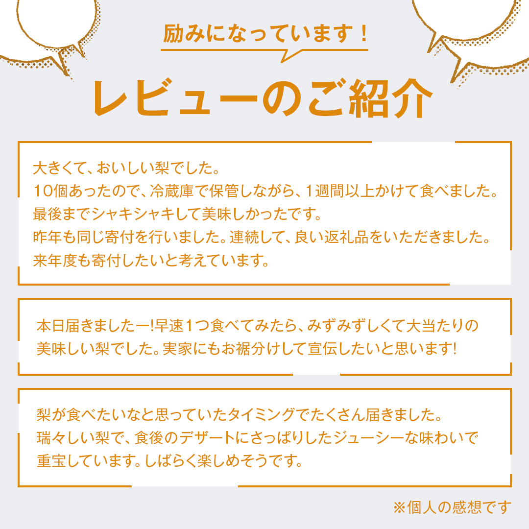 梨 豊水 5kg ( 10個 ～ 14個 ) なし 豊水梨 果物 くだもの フルーツ 旬 高糖度 ギフト 美味しい 甘い デザート 田舎の頑固おやじが厳選！ 【令和6年9月より発送開始】（茨城県共通返礼品：石岡市産） [BI304-NT]